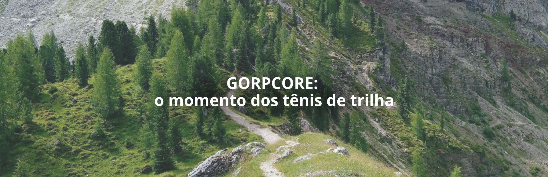 trilha