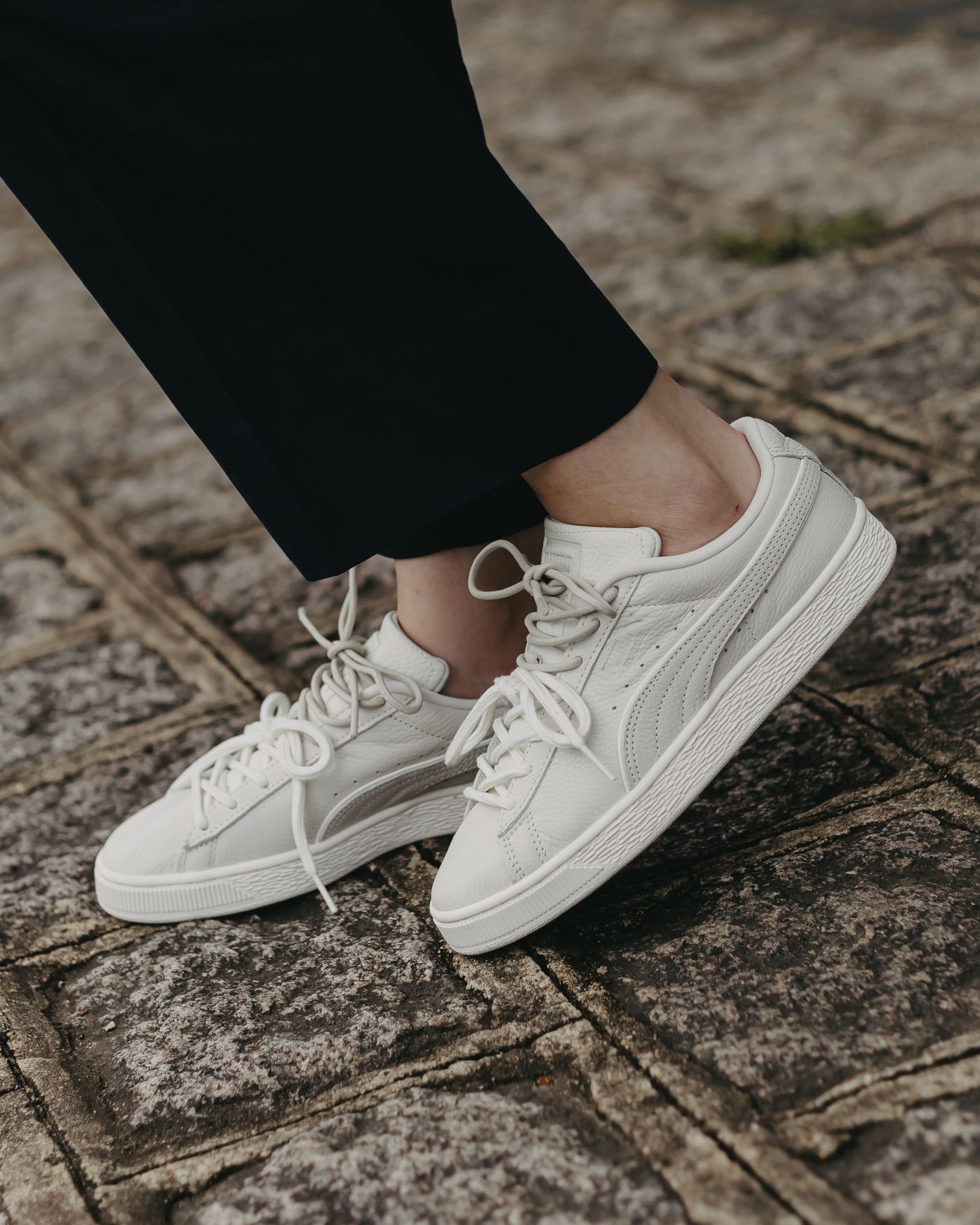 puma